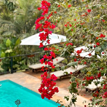 Mediterraneo Suites 푸에르토이과수 외부 사진