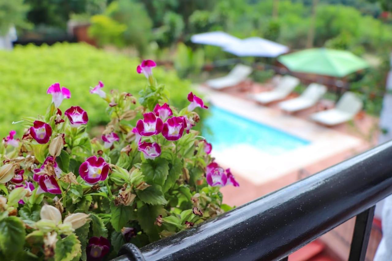 Mediterraneo Suites 푸에르토이과수 외부 사진