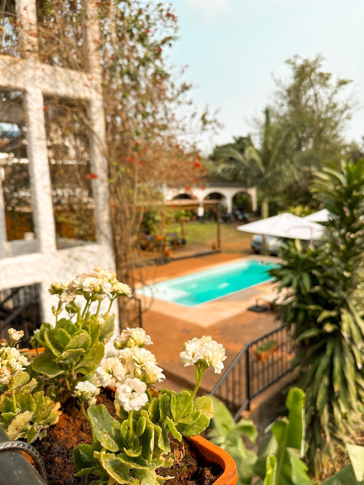 Mediterraneo Suites 푸에르토이과수 외부 사진